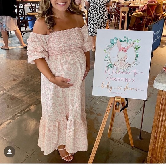 Nothing Fits But - pink toile / rouge haru dress - Picture 5 of 9